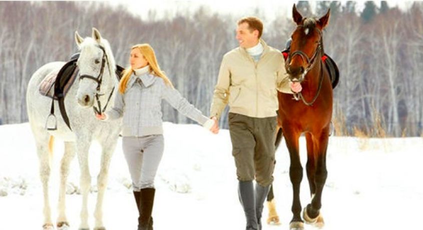 Будь всегда на коне! Скидка 80% на конную прогулку по лесу от конного клуба «Сивка-Бурка».