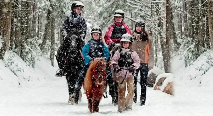 Зимняя прогулка на лошадях! Конные прогулки верхом по зимнему лесу со скидкой 60% от конного клуба «Рублевские Зори».