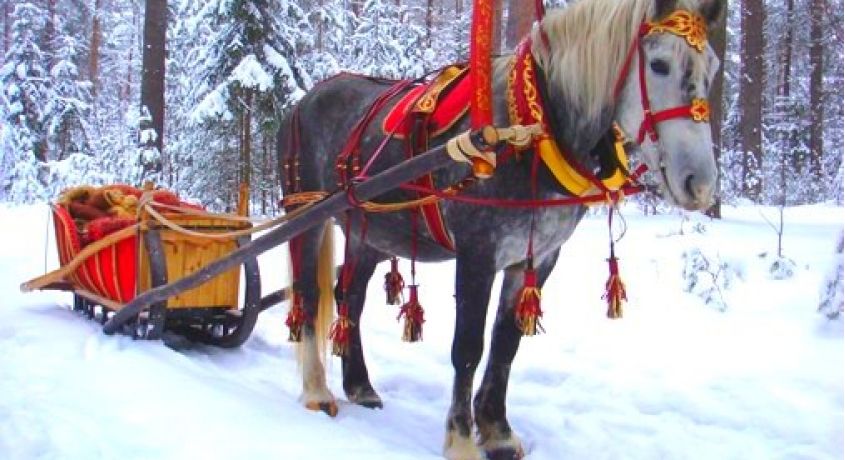 Настоящая зимняя сказка! Прогулка в конном экипаже по зимнему лесу со скидкой 70% от конного клуба «Рублевские Зори».