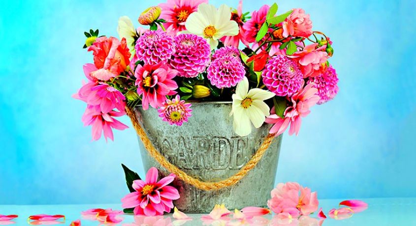 Дарите цветы, это всегда радость! Порадуйте Ваших близких букетом цветов со скидкой 50%.