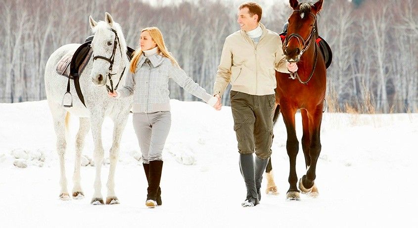Зима близко! Скидка 60% на прогулку по зимнему лесу от конного клуба «Рублевские Зори».