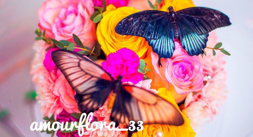 Порадуйте любимых! Цветочные коробки с живыми бабочками со скидкой 50% от цветочного магазина «Амур».
