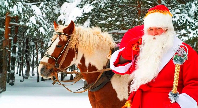 Незабываемое зрелище! Увлекательное конное шоу и встреча с Дедом Морозом и Снегурочкой со скидкой 50%.