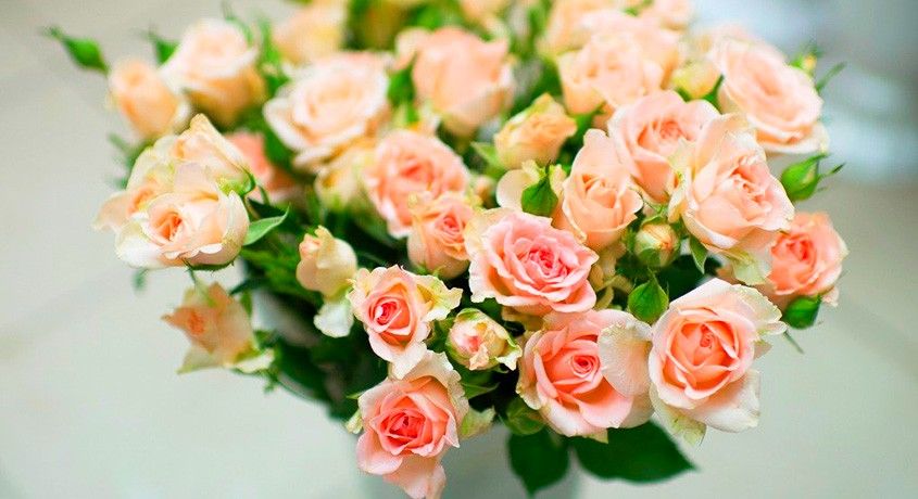 Сделайте комплимент любимым! Скидка 50% на доставку букетов из роз, кустовых роз или кустовых хризантем.