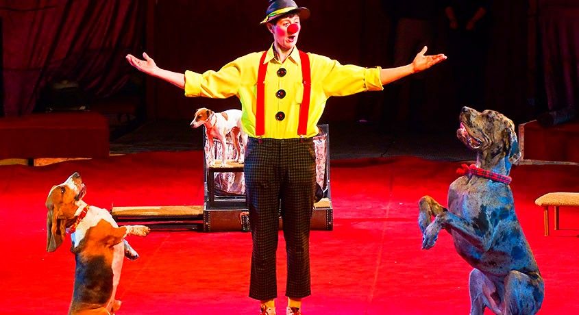 Ждем Вас на незабываемое шоу! Билеты на цирковое представление «Мир Иллюзий» со скидкой 50% от цирка «Хамелеон».