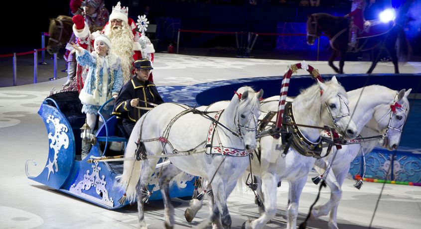Цирк-шапито «Деда Мороза» во Владимире! Скидка 50% на новогоднее представление цирка-шапито.