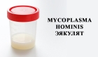 Mycoplasma hominis эякулят