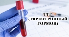 ТТГ (тиреотропный гормон)