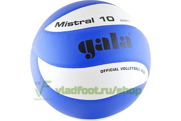 Мяч для волейбола Gala Mistral 10