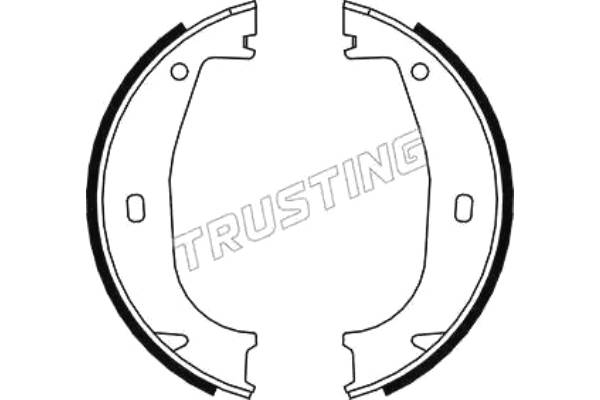 Комплект тормозных колодок, стояночная тормозная система арт: TRUSTING 019.026