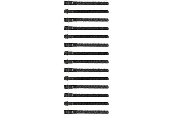 Комплект болтов головки цилидра арт: VICTOR REINZ 14-32101-01