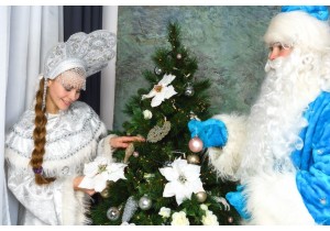 Дед Мороз и Снегурочка в торговый центр