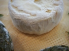 Сыр козий по французски с белой плесенью от Джея Клоуса