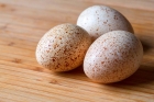 Яйца индейки