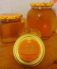 Липовый мёд (Алтай)