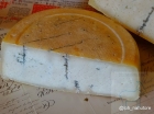 Голубой сыр гауда