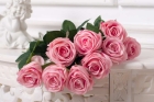 Роза открытая плотная светло-розовая