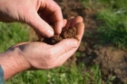 Анализ почвы на плодородие