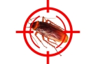 Дезинфекция от тараканов дома до 100м2