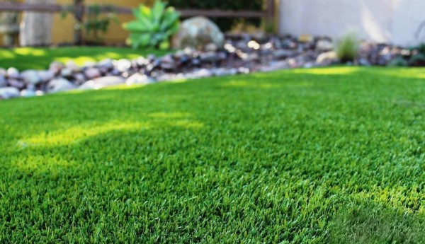 Посевной газон: состав, преимущества и недостатки выбора зеленого покрытия