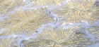 Мраморная плитка DOGMA CLASSIC HARTIFIZIO T 3D BIANCO CARRARA GOLD (19,7х18,75х2 см)