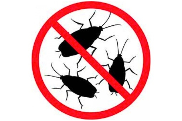 Дезинфекция помещений от насекомых