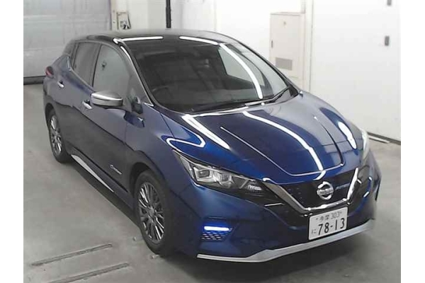Nissan LEAF ZE1 - 2020 год