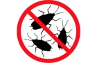 Дезинфекция помещений от насекомых