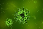Дезинфекция помещений от вирусов и бактерий