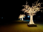 Светодиодное дерево