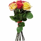 Букет из 5 разноцветных роз